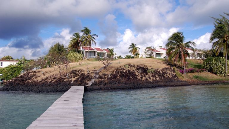 Location de voitures en Martinique : les meilleurs conseils pour bien choisir !