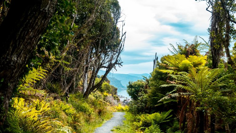 Découvrez la Nouvelle-Zélande : des paysages à couper le souffle !