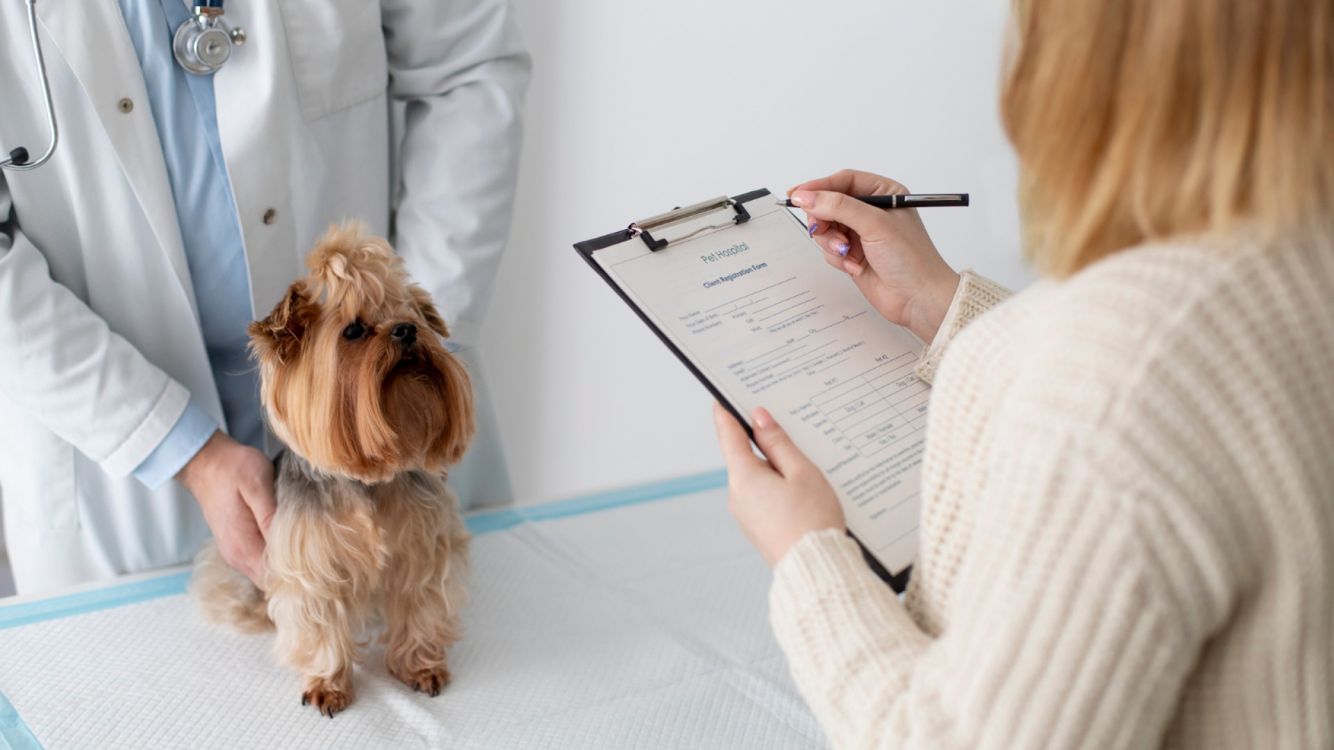 L'assurance animale : pensez-y !