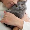 Décodez le comportement de votre chat !