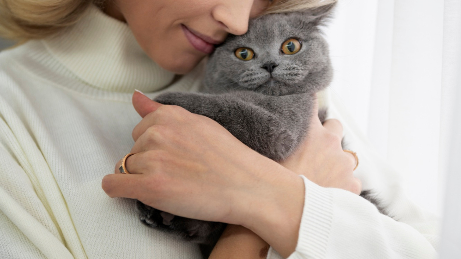 Décodez le comportement de votre chat !