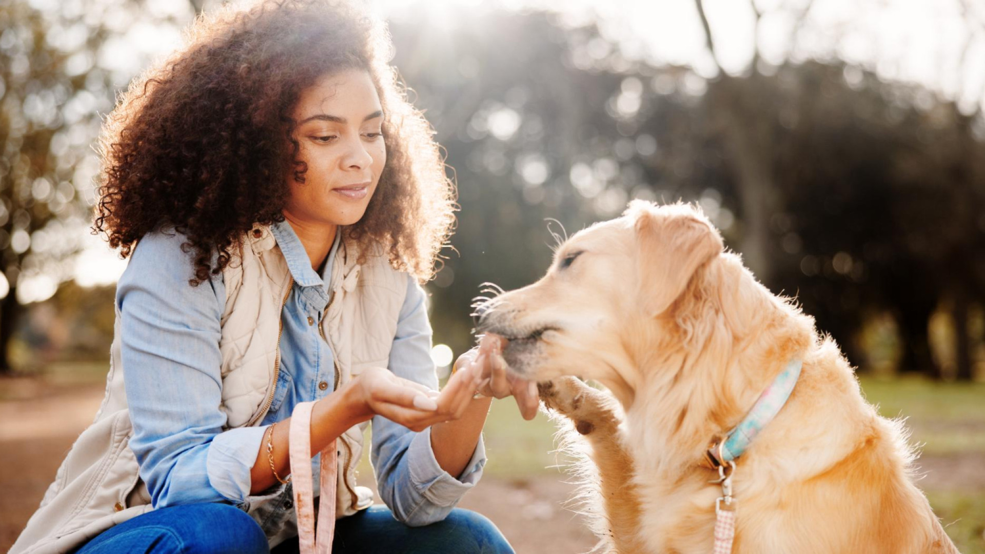 Pourquoi assurer son chien offre bien plus qu’une simple sécurité ?