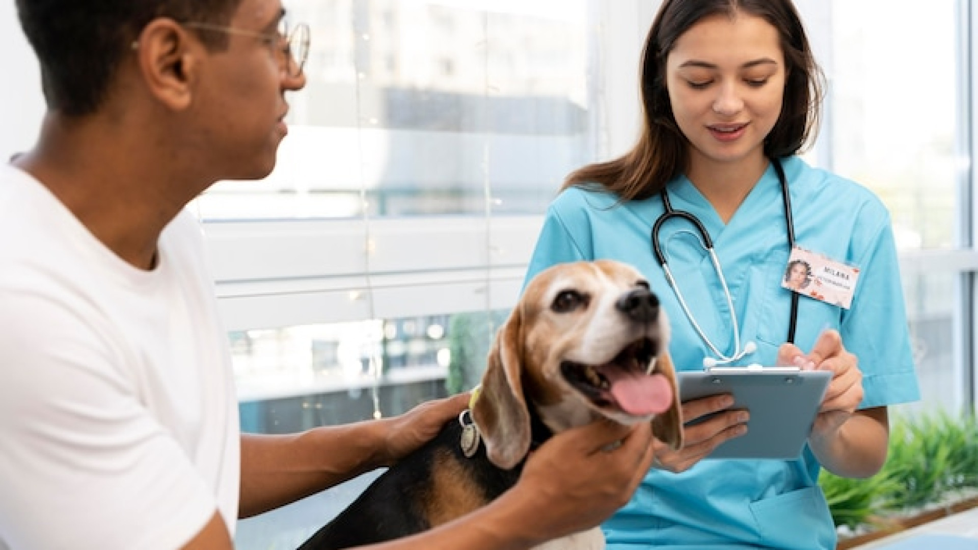 Quelle assurance animaux choisir pour un compagnon en pleine forme ?