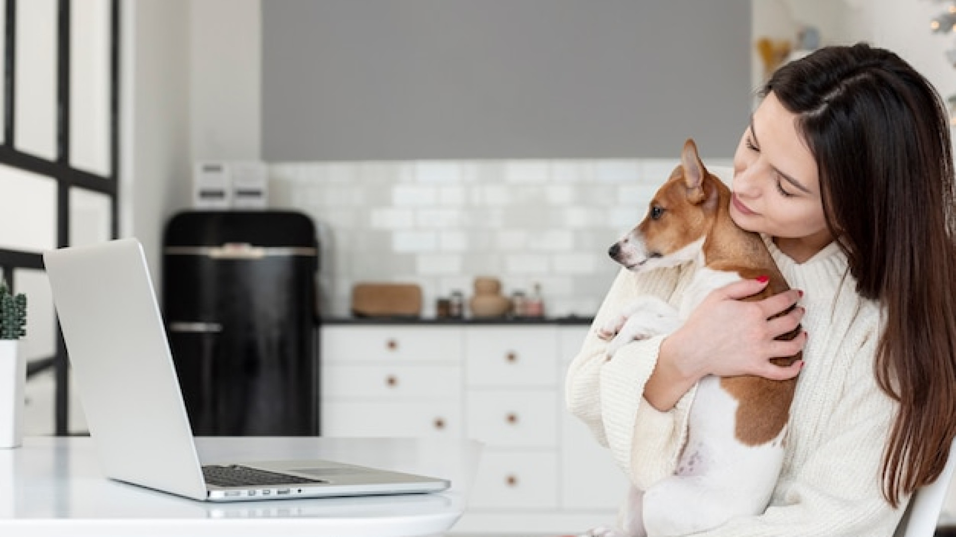 Vaccins, accidents et maladies : que prend en charge une assurance animale ?