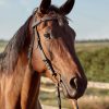 Comment associer huile de cade et autres soins naturels pour un cheval en pleine santé ?
