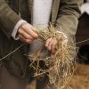 L’importance du purificateur de foin pour la santé du cheval